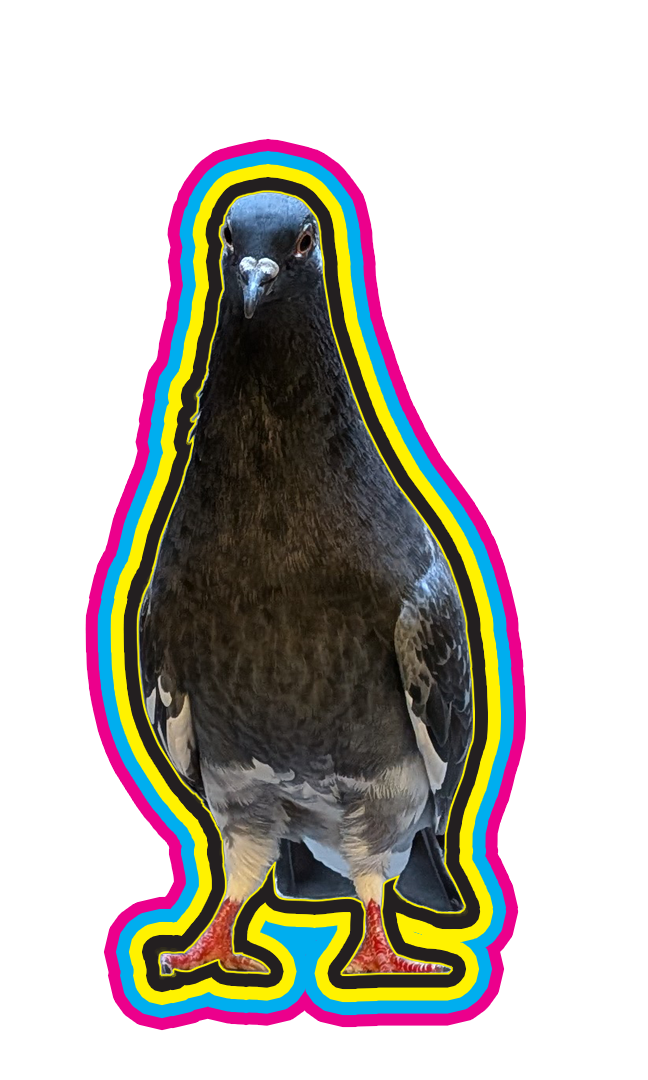 The new image that appears